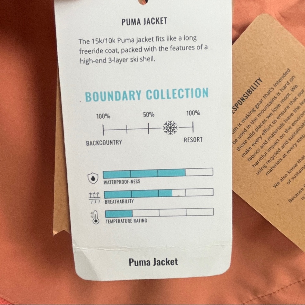 Flylow Puma Snow Jacket - L - Picture 5 of 11